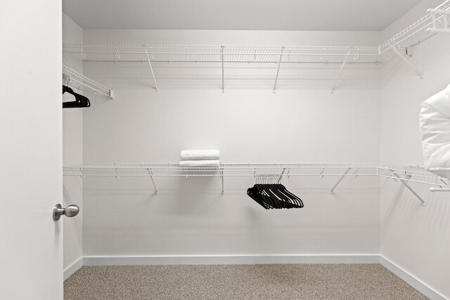 ラージ サウス オースティン ホーム ウィズ ア プール