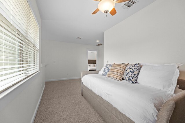 ラージ サウス オースティン ホーム ウィズ ア プール