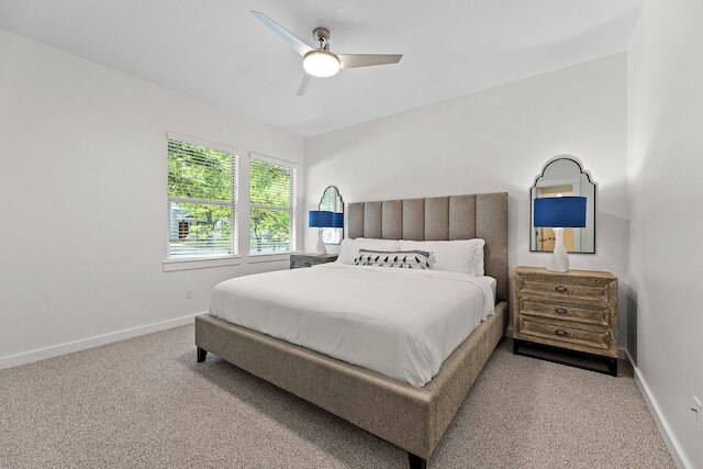 ラージ サウス オースティン ホーム ウィズ ア プール