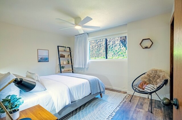 マカフエナ 2106