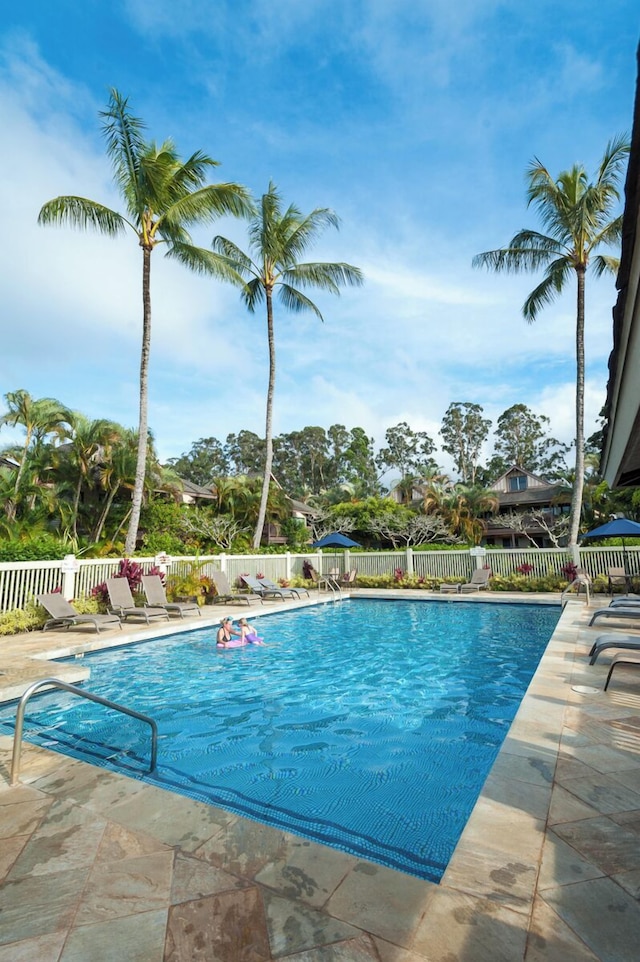 サンドパイパー 120b