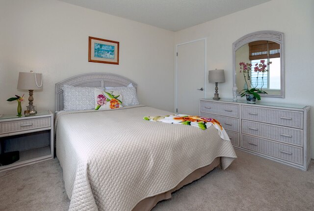 アリイ カイ 3103