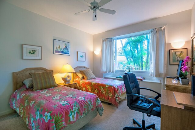 エマラニ コート 411