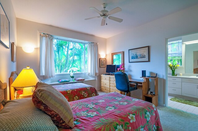 エマラニ コート 411