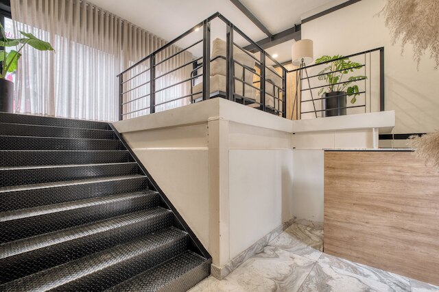 マイラ サラマンカ