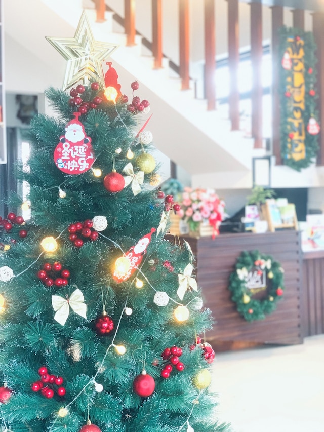 メイズ ハウス ホイアン アンシエント タウン センター