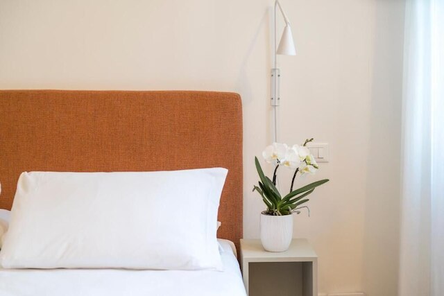 カ ラ スタンパ