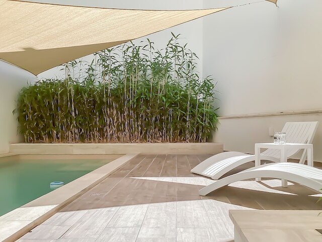 モダン ビューティフル プール アンド シー アパートメント カウラ