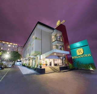 レーガントリス マリオボロ