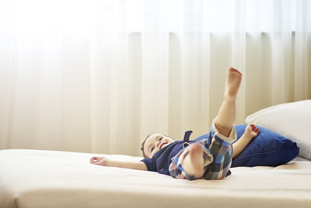 ノボテル パリ サン ドニ スタッド バジリク