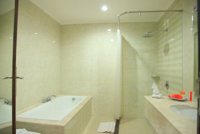 アエロテル スマイル マカッサル