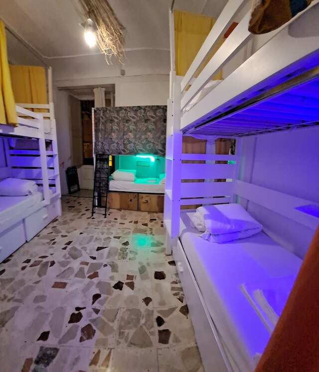 エクスクルーシブ ディペンダンス