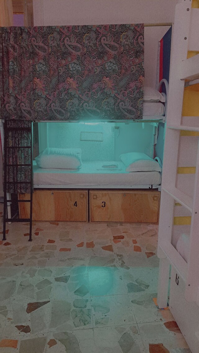 エクスクルーシブ ディペンダンス