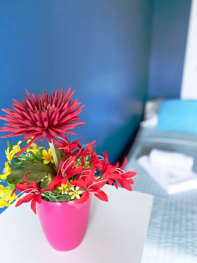 B&B アイ アム ヒア - ジョイア 71