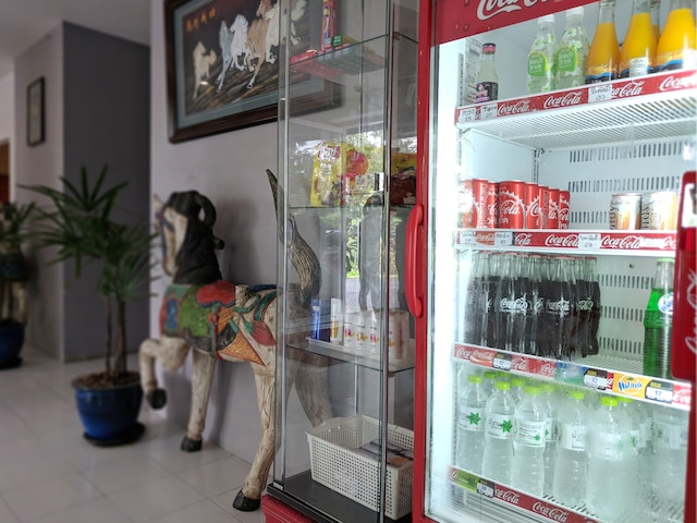 シノ アット トゥンソン