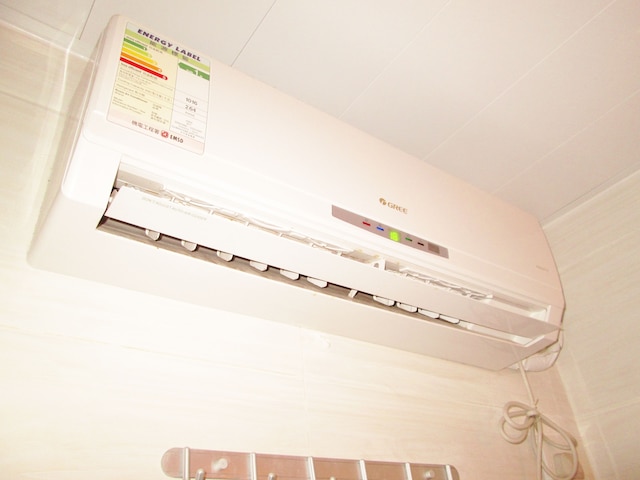 ニュー 上海 ゲスト ハウス (新上海招待所)