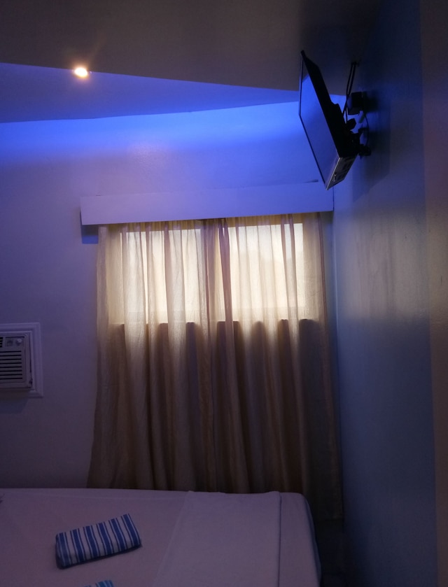 アンスリウム イン