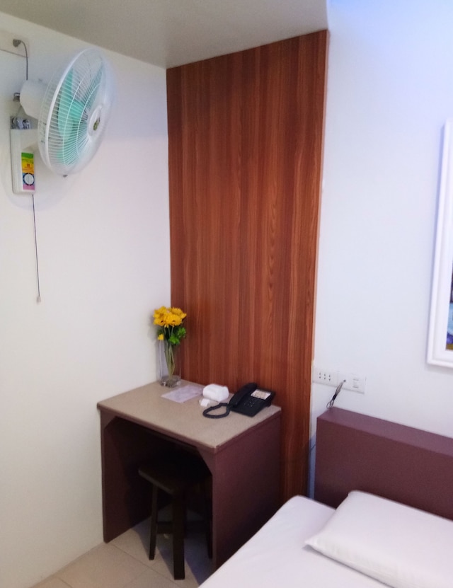 アンスリウム イン