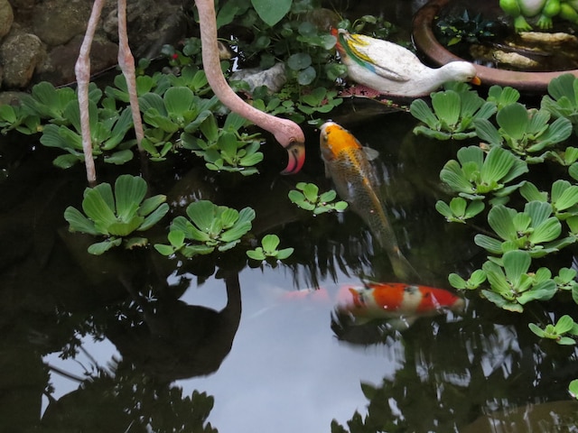 ビューティフル イーラン リゾート (宜蘭真水蘭陽白鷺鷥民宿)