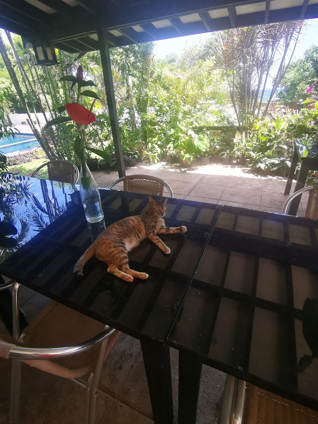 ラ パーネラ ビーチフロント リゾート