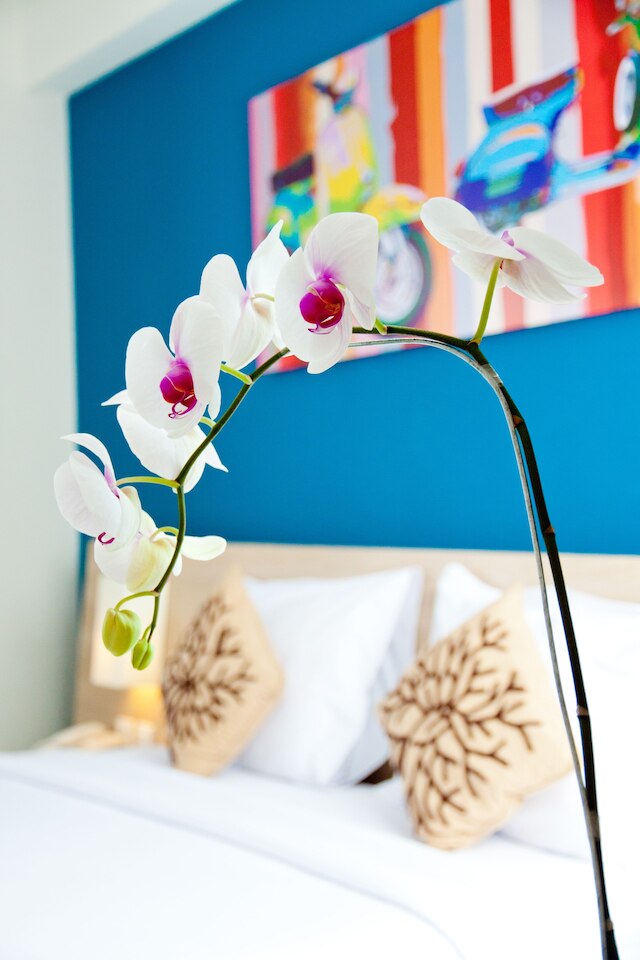 ザ サラク ホテル