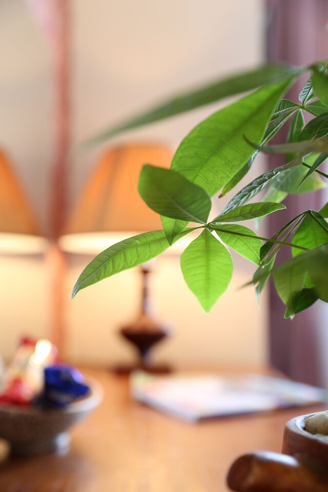 ファースト エデン ホテル