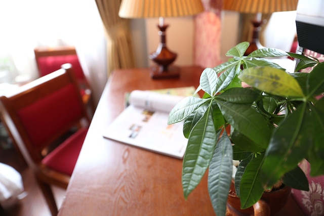 ファースト エデン ホテル