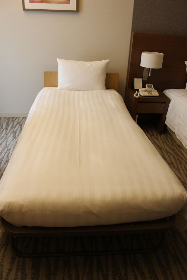 小田急ホテルセンチュリー相模大野