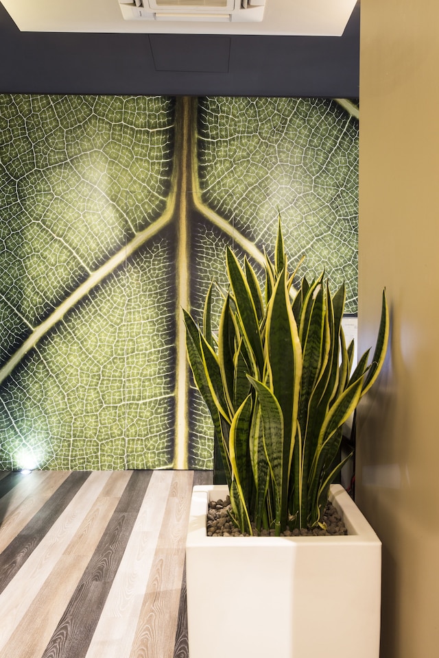 セレンディピティ ルームズ