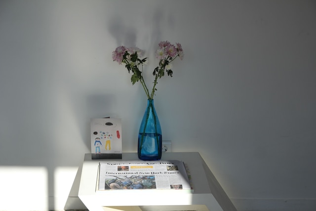 アイハウス チンチン