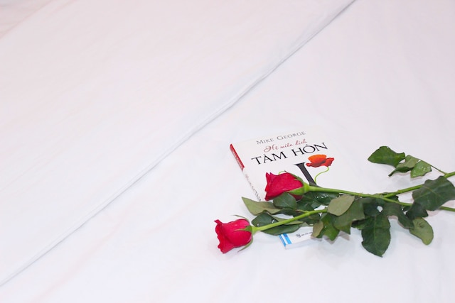 ミー リン ホテル