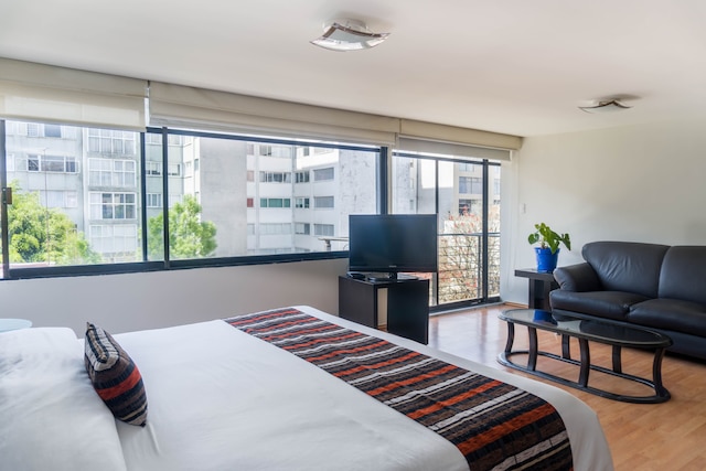 グルポ キングス スイーツ プラトン 436