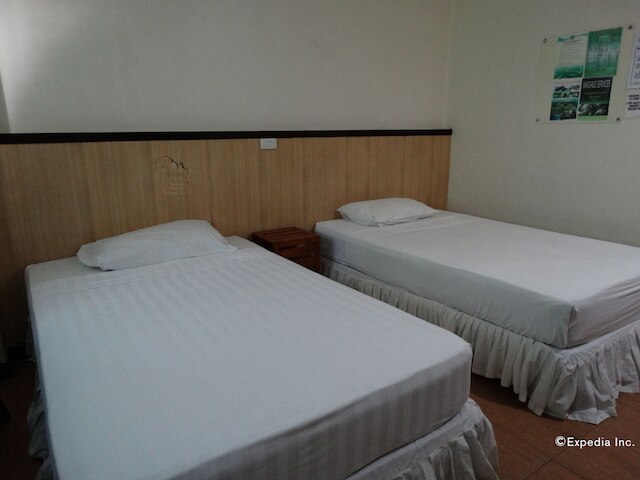 パンダ ティー ガーデン スイーツ