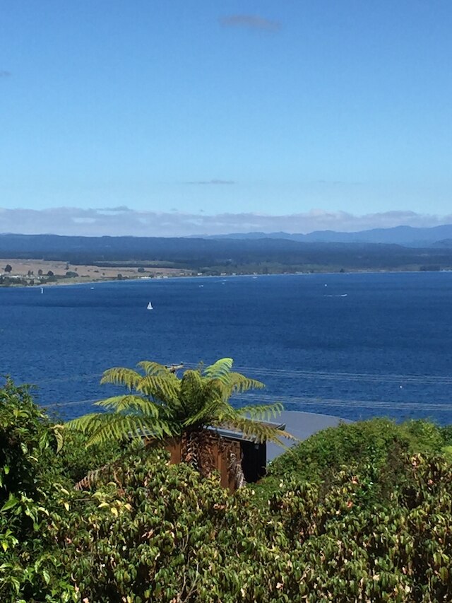 ザ フライング トラウト ブティック ロッジ