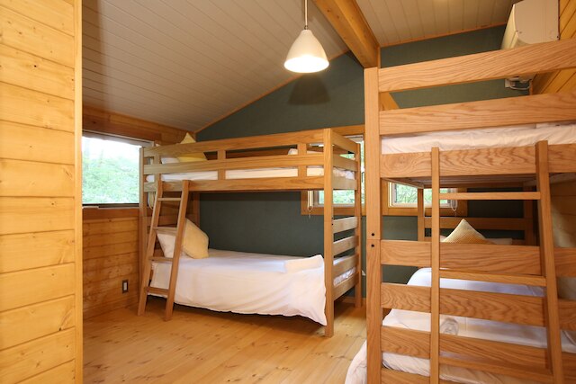 ローズ オブ シャロン