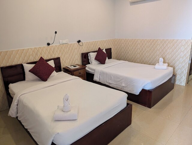 ティム & ソフィー アンコール イン