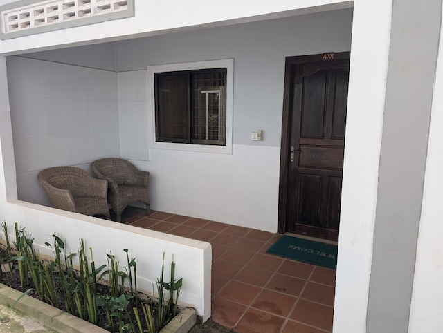 ティム & ソフィー アンコール イン