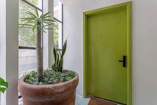 アマリ レフヒオ ウルバノ