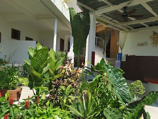 アラナラ ホテル