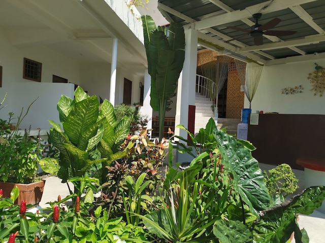 アラナラ ホテル