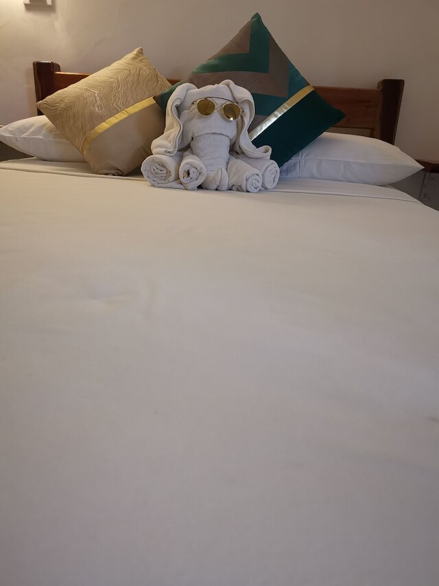 アラナラ ホテル