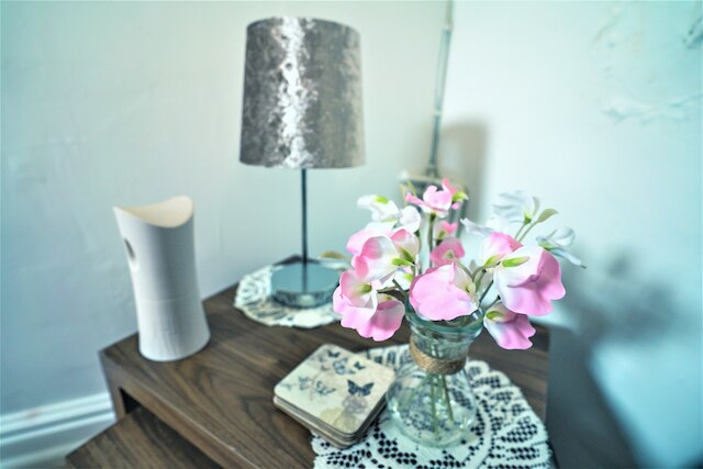 トラベラーズ ステイズ イン ザ ハート オブ オレル パーク