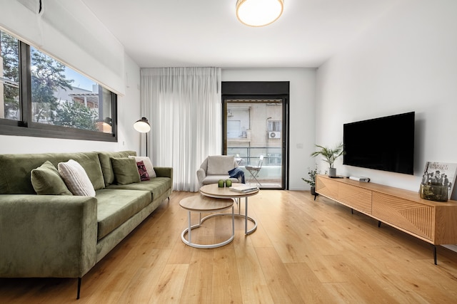 サニー シック イン TLV センター バイ シー アンド レント