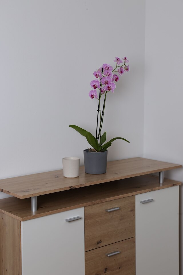 アーバン ステイ アパートメント ウィーン