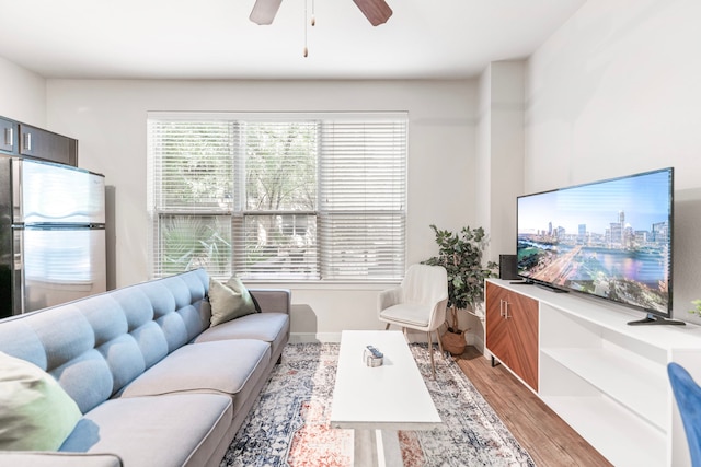 コンフィ ソコ 1ベッドルーム キングスイート ウィズ ジム ピクルボール ランドリー