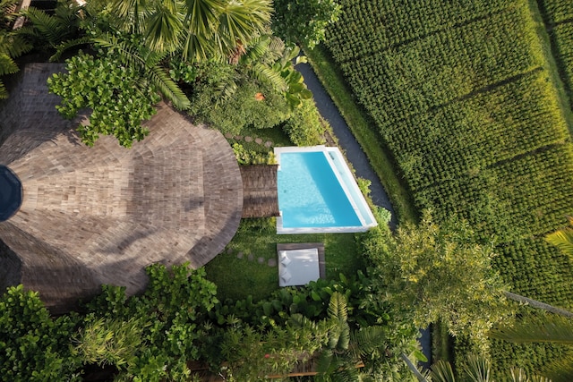 エコ シックス バリ