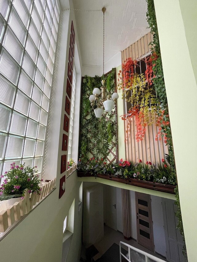 コージー スタジオ イン ジシュコフ、プラハ