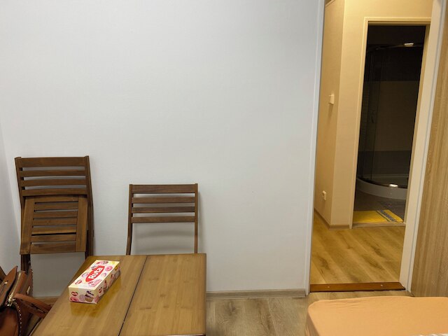 コージー スタジオ イン ジシュコフ、プラハ