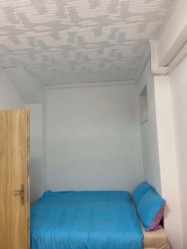 コージー スタジオ イン ジシュコフ、プラハ