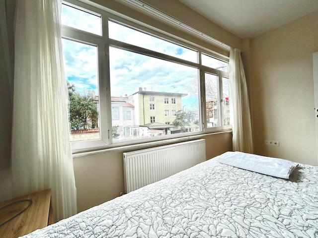 クズグンジュク ビュー